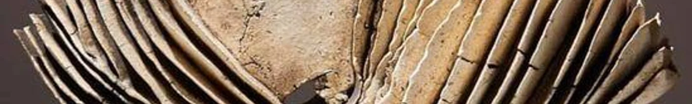 72140254-4969-4707-b967-40c91acf3ac4-22198233754210c606b505f94351daf8.jpg